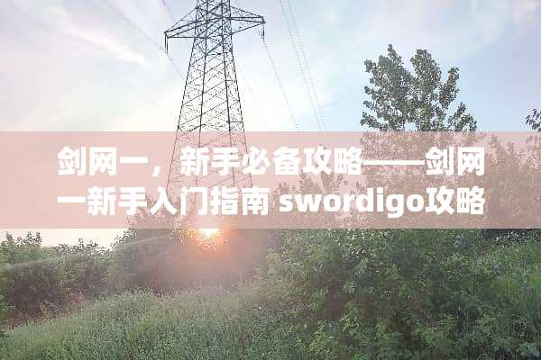 剑网一，新手必备攻略——剑网一新手入门指南 swordigo攻略