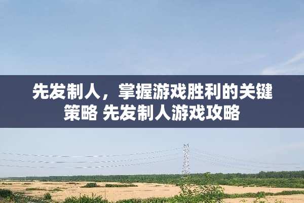 先发制人，掌握游戏胜利的关键策略 先发制人游戏攻略