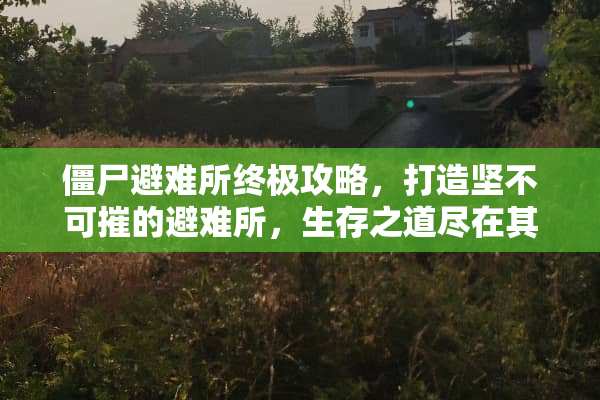 僵尸避难所终极攻略，打造坚不可摧的避难所，生存之道尽在其中！ 僵尸避难所游戏攻略