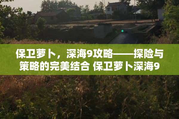 保卫萝卜，深海9攻略——探险与策略的完美结合 保卫萝卜深海9攻略