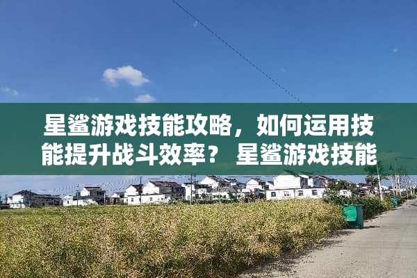 星鲨游戏技能攻略，如何运用技能提升战斗效率？ 星鲨游戏技能攻略