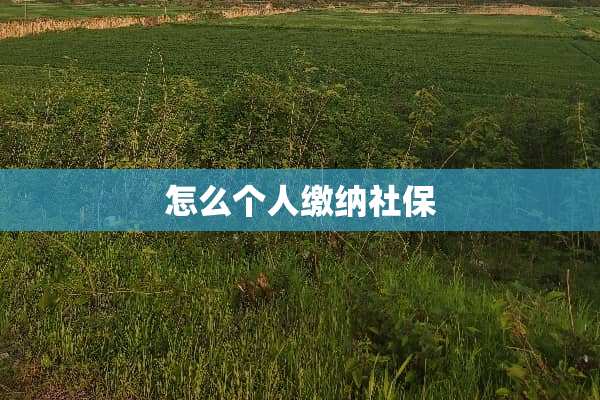 怎么个人缴纳社保