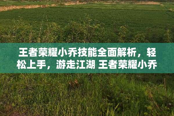王者荣耀小乔技能全面解析，轻松上手，游走江湖 王者荣耀小乔技能介绍