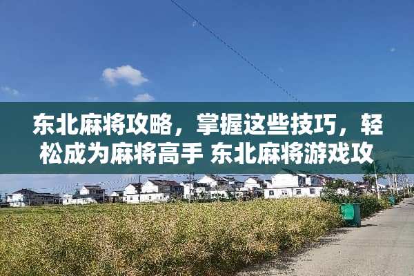 东北**攻略，掌握这些技巧，轻松成为**高手 东北**游戏攻略