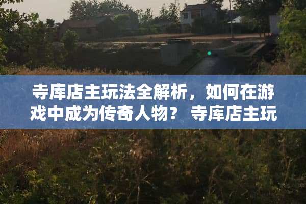 寺库店主玩法全解析，如何在游戏中成为传奇人物？ 寺库店主玩法