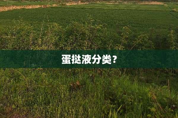 蛋挞液分类？