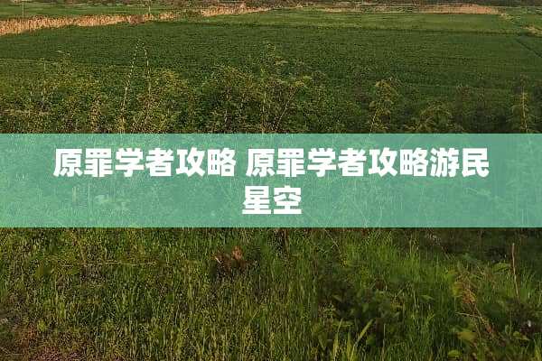 原罪学者攻略 原罪学者攻略游民星空