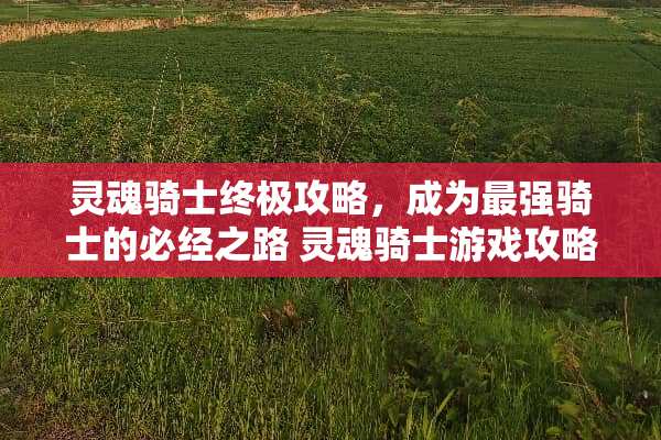 灵魂骑士终极攻略，成为最强骑士的必经之路 灵魂骑士游戏攻略