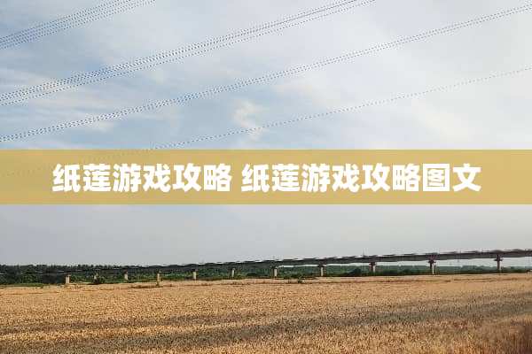 纸莲游戏攻略 纸莲游戏攻略图文