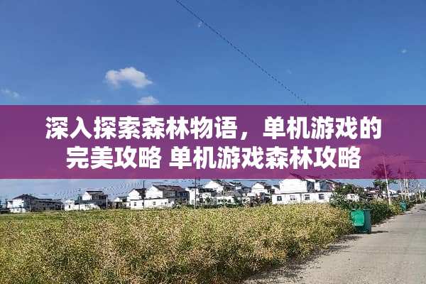 深入探索森林物语，单机游戏的完美攻略 单机游戏森林攻略