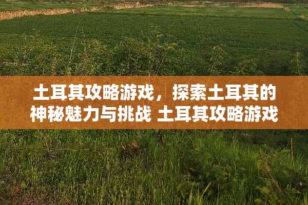 土耳其攻略游戏，探索土耳其的神秘魅力与挑战 土耳其攻略游戏