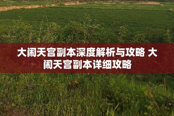 大闹天宫副本深度解析与攻略 大闹天宫副本详细攻略