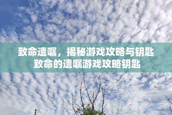 致命遗嘱，揭秘游戏攻略与钥匙 致命的遗嘱游戏攻略钥匙