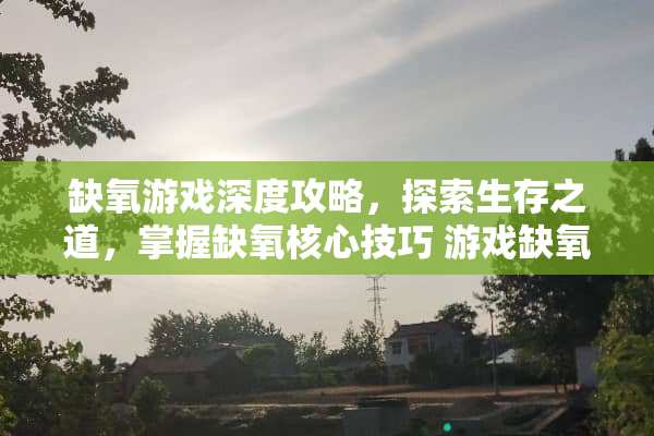 缺氧游戏深度攻略，探索生存之道，掌握缺氧核心技巧 游戏缺氧攻略