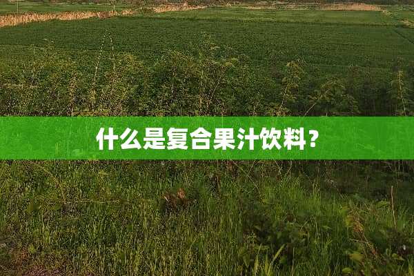 什么是复合果汁饮料？