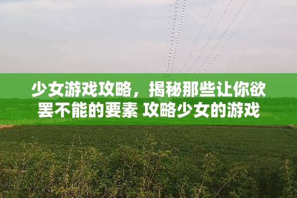 少女游戏攻略，揭秘那些让你欲罢不能的要素 攻略少女的游戏