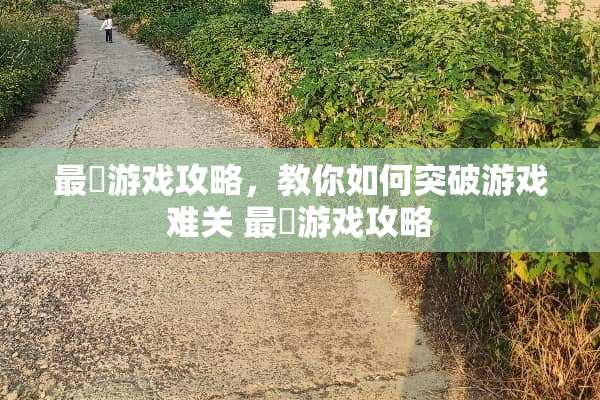 最囧游戏攻略，教你如何突破游戏难关 最冏游戏攻略