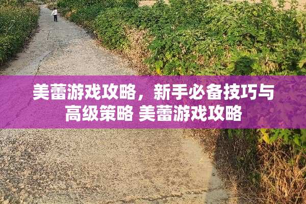 美蕾游戏攻略，新手必备技巧与高级策略 美蕾游戏攻略