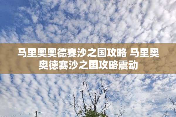马里奥奥德赛沙之国攻略 马里奥奥德赛沙之国攻略震动