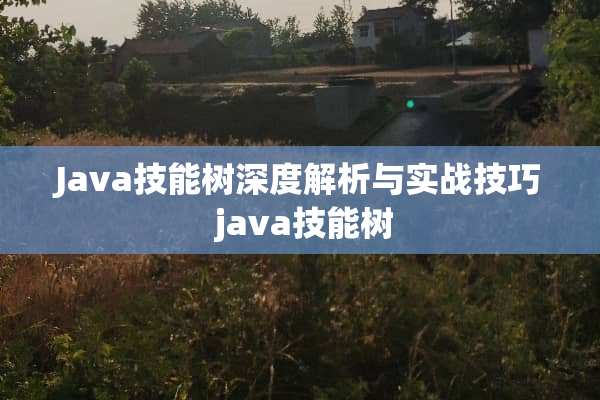 Java技能树深度解析与实战技巧 java技能树