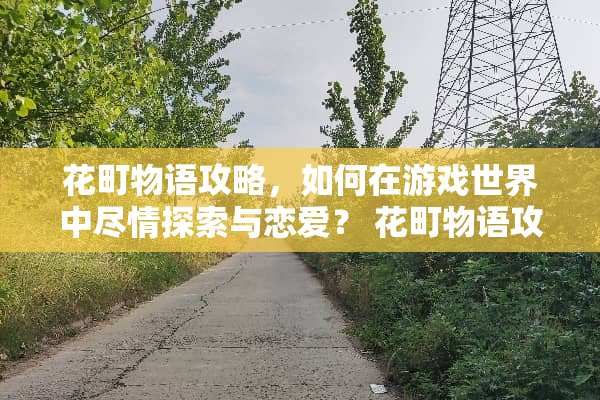 花町物语攻略，如何在游戏世界中尽情探索与恋爱？ 花町物语攻略