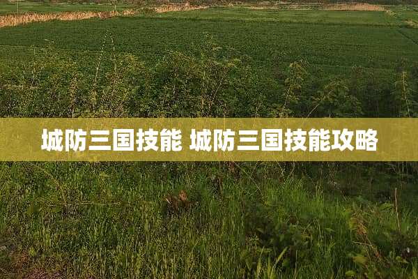 城防三国技能 城防三国技能攻略