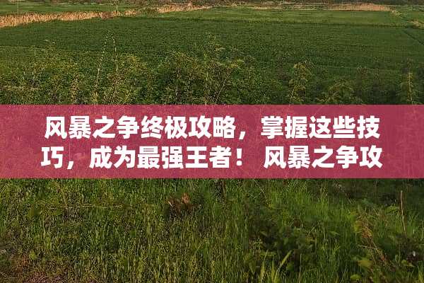 风暴之争终极攻略，掌握这些技巧，成为最强王者！ 风暴之争攻略