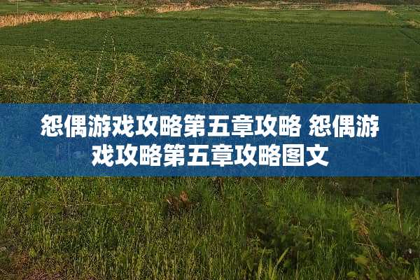 怨偶游戏攻略第五章攻略 怨偶游戏攻略第五章攻略图文