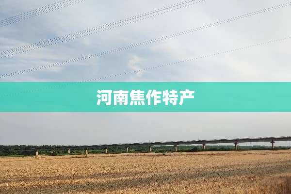 河南焦作特产