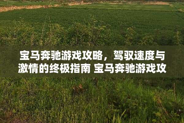 宝马奔驰游戏攻略，驾驭速度与激情的终极指南 宝马奔驰游戏攻略