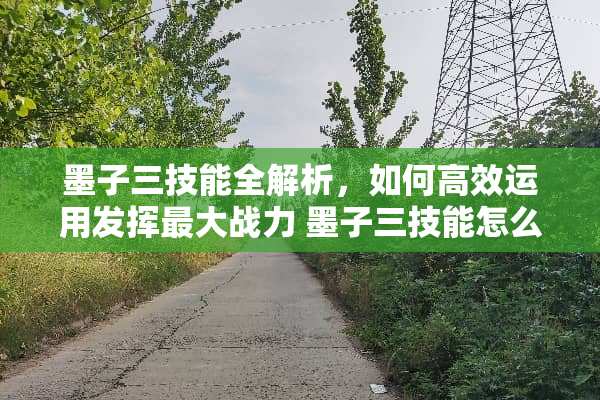 墨子三技能全解析，如何高效运用发挥最大战力 墨子三技能怎么用