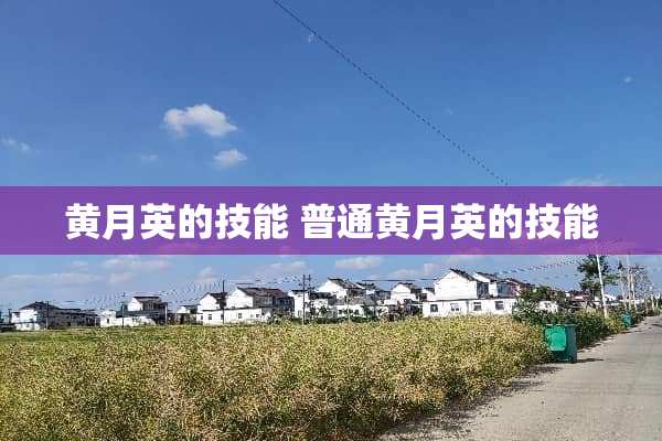 黄月英的技能 普通黄月英的技能