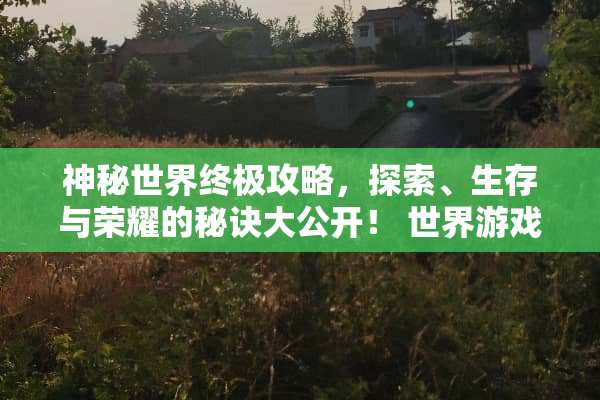 神秘世界终极攻略，探索、生存与荣耀的秘诀大公开！ 世界游戏攻略
