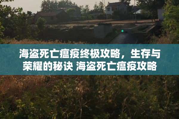 海盗死亡瘟疫终极攻略，生存与荣耀的秘诀 海盗死亡瘟疫攻略