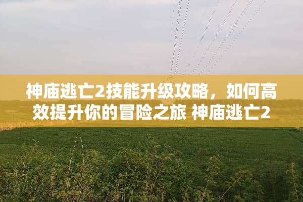 神庙逃亡2技能升级攻略，如何高效提升你的冒险之旅 神庙逃亡2技能升级