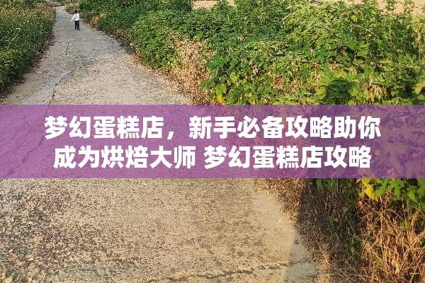 梦幻蛋糕店，新手必备攻略助你成为烘焙大师 梦幻蛋糕店攻略