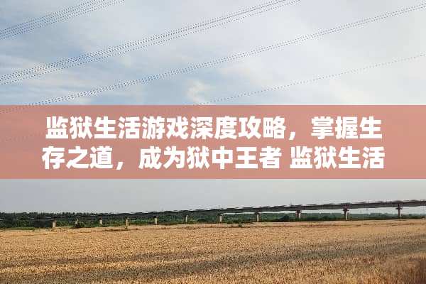 监狱生活游戏深度攻略，掌握生存之道，成为狱中王者 监狱生活游戏攻略