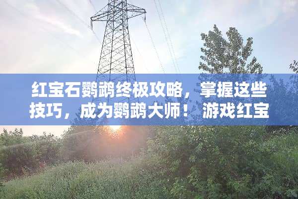 红宝石鹦鹉终极攻略，掌握这些技巧，成为鹦鹉大师！ 游戏红宝石鹦鹉攻略