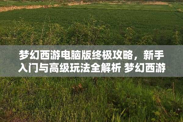 梦幻西游电脑版终极攻略，新手入门与高级玩法全解析 梦幻西游电脑版攻略