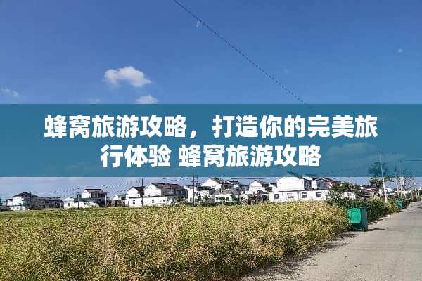蜂窝旅游攻略，打造你的完美旅行体验 蜂窝旅游攻略
