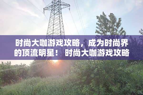 时尚大咖游戏攻略，成为时尚界的顶流明星！ 时尚大咖游戏攻略