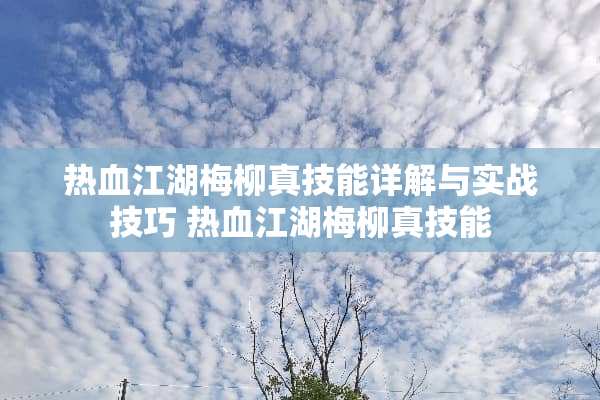 热血江湖梅柳真技能详解与实战技巧 热血江湖梅柳真技能