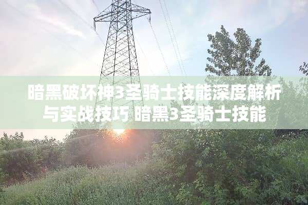 暗黑破坏神3圣骑士技能深度解析与实战技巧 暗黑3圣骑士技能