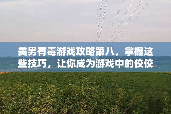 **有毒游戏攻略第八，掌握这些技巧，让你成为游戏中的佼佼者！**有毒游戏攻略第八