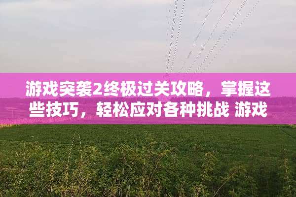 游戏突袭2终极过关攻略，掌握这些技巧，轻松应对各种挑战 游戏突袭2过关攻略