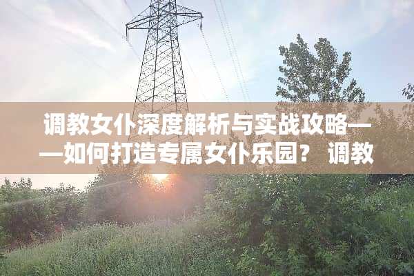 **女仆深度解析与实战攻略——如何打造专属女仆乐园？**女仆游戏攻略