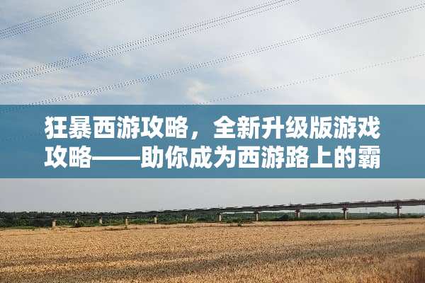 狂暴西游攻略，全新升级版游戏攻略——助你成为西游路上的霸主 狂暴西游攻略