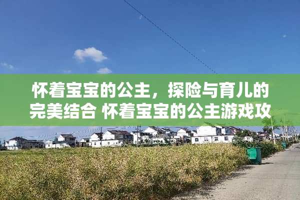 怀着宝宝的公主，探险与育儿的完美结合 怀着宝宝的公主游戏攻略