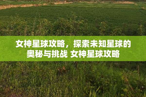女神星球攻略，探索未知星球的奥秘与挑战 女神星球攻略