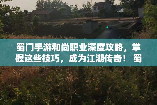 蜀门手游和尚职业深度攻略，掌握这些技巧，成为江湖传奇！ 蜀门手游和尚攻略